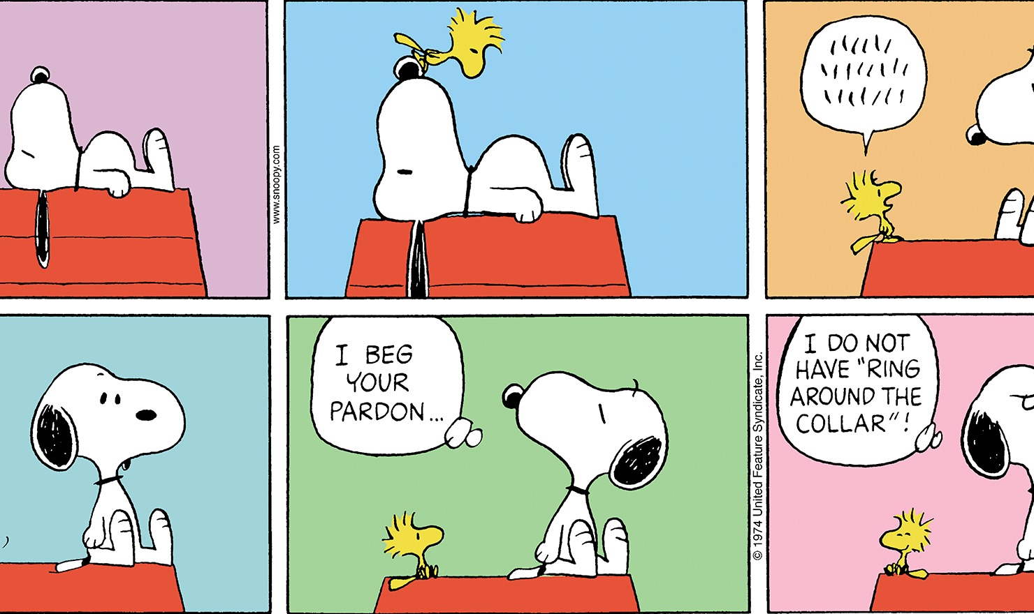 Peanuts Snoopy And Woodstock Read Comic Strips At Gocomics