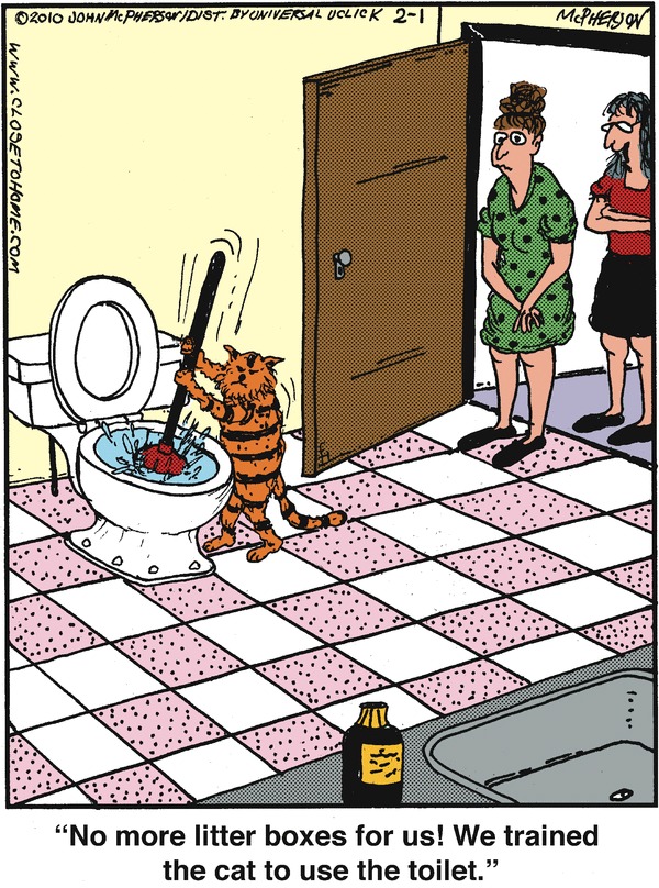 Flush Over These 14 Funny World Toilet Day Comics - GoComics