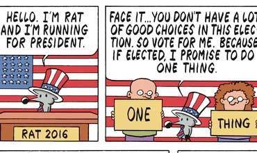 15 Pearls Before Swine Election Funnies