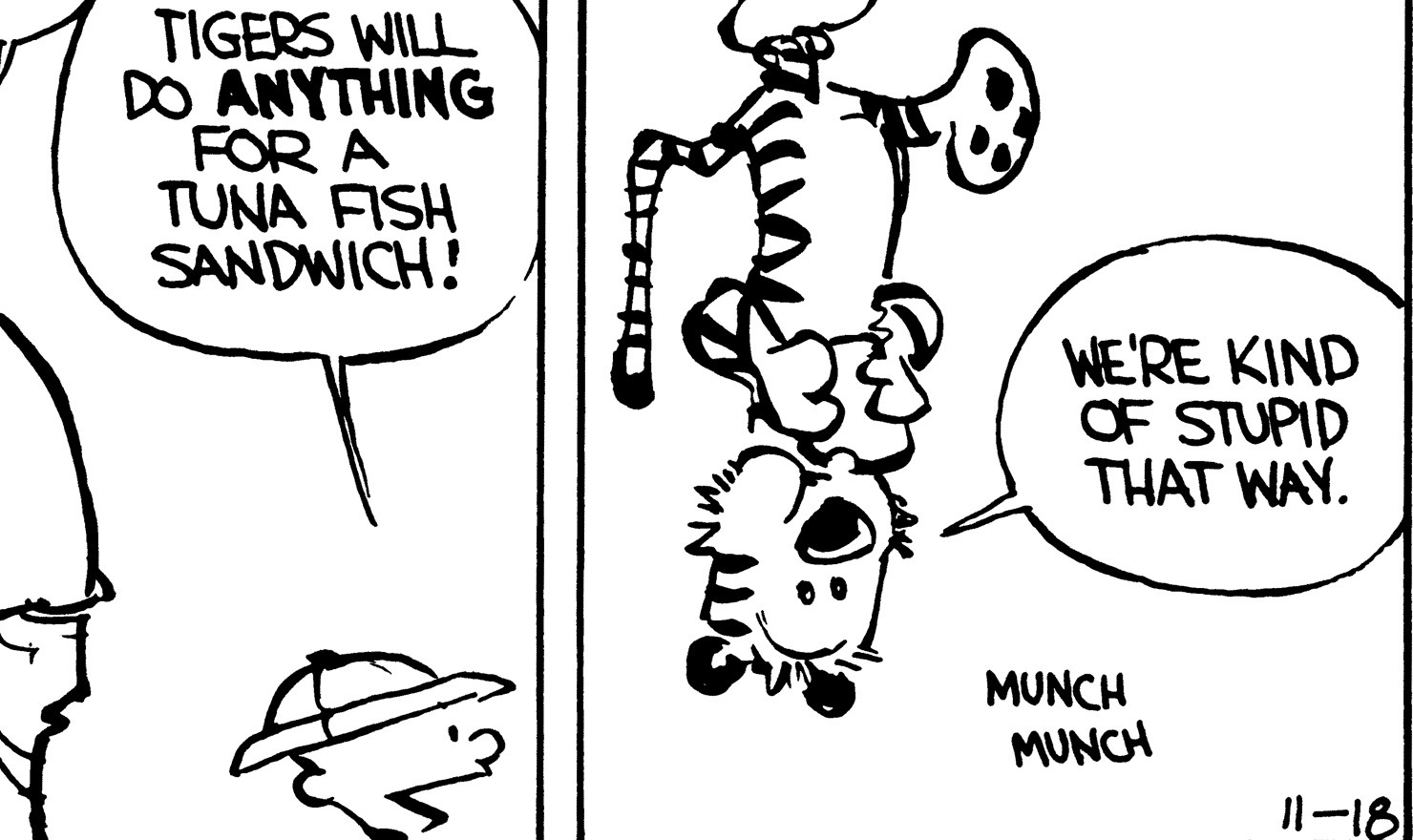 Calvin and Hobbes is 31