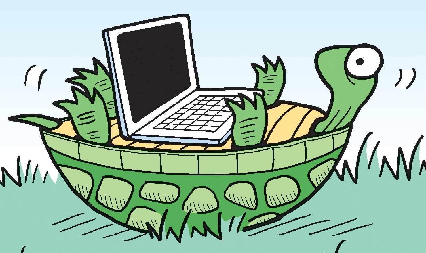 Shell-ebrate World Turtle Day With These Comics