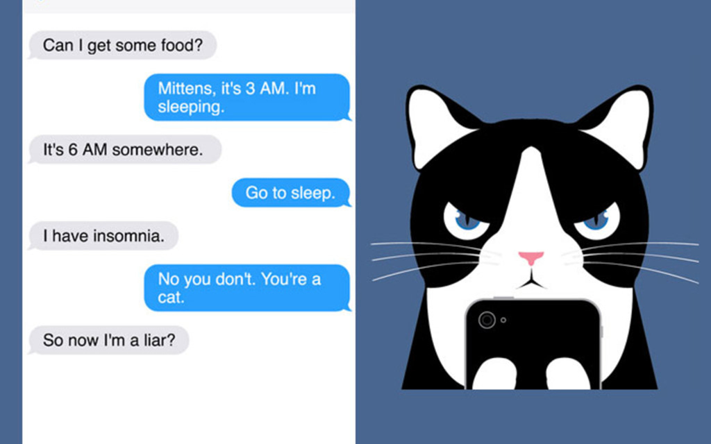New Comic Alert: 'Texts From Mittens'