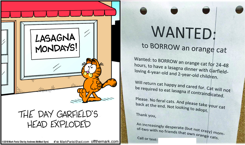 Garfield: Now for Rent