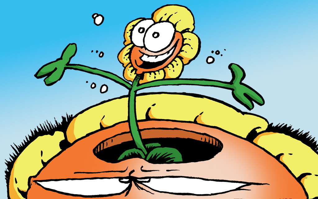 "Bob the Angry Flower" Is the Latest Feature To Join GoComics