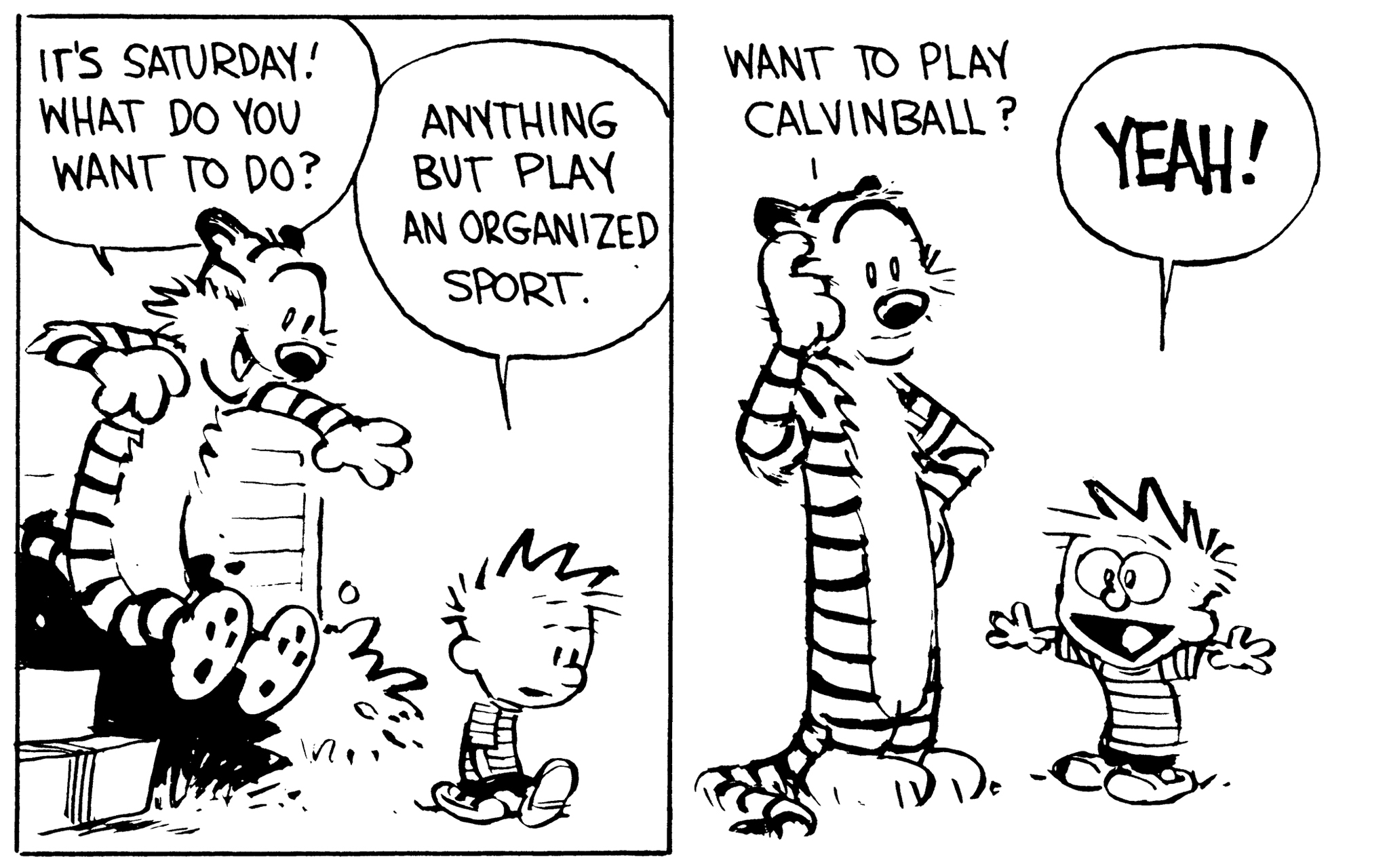 Calvin and Hobbes: Calvinball | Read Comic Strips at GoComics