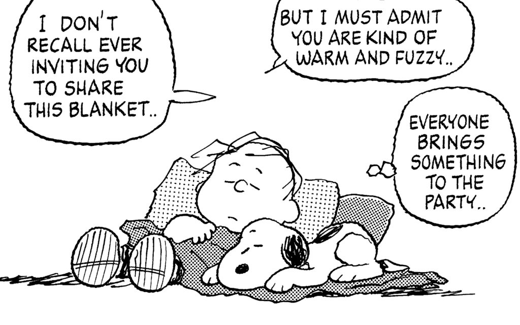 Peanuts: Linus' Blanket