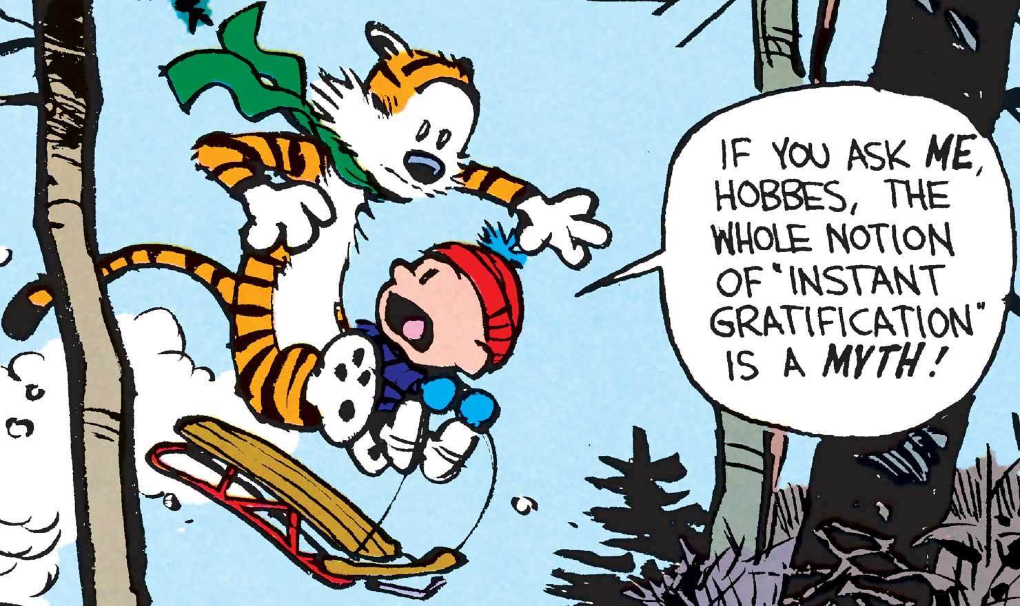Calvin and hobbes bridge weight limit