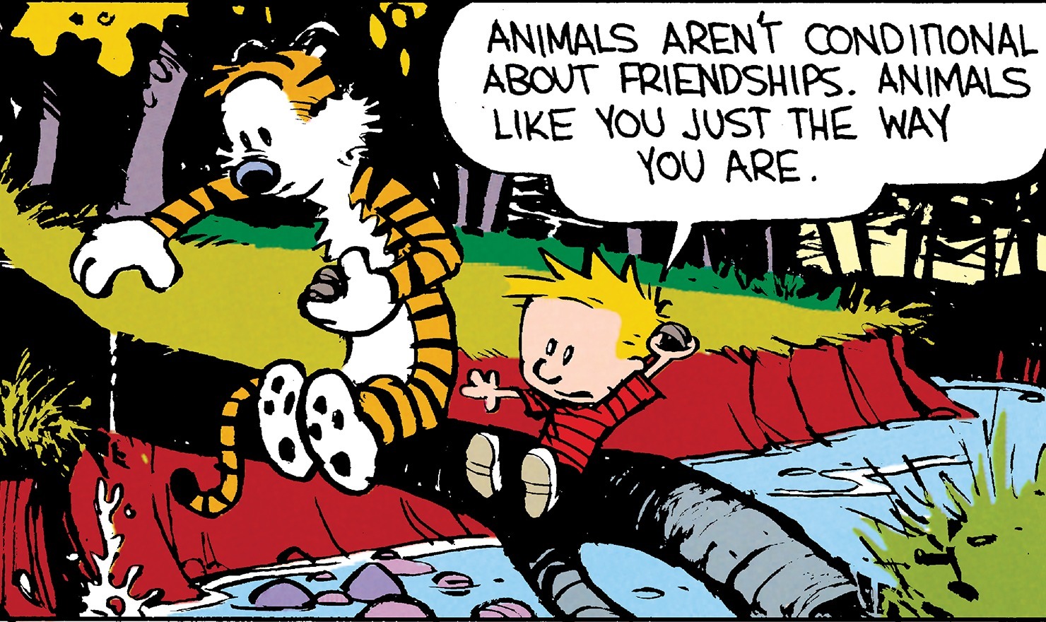 Calvin and Hobbes: Friendship Collection