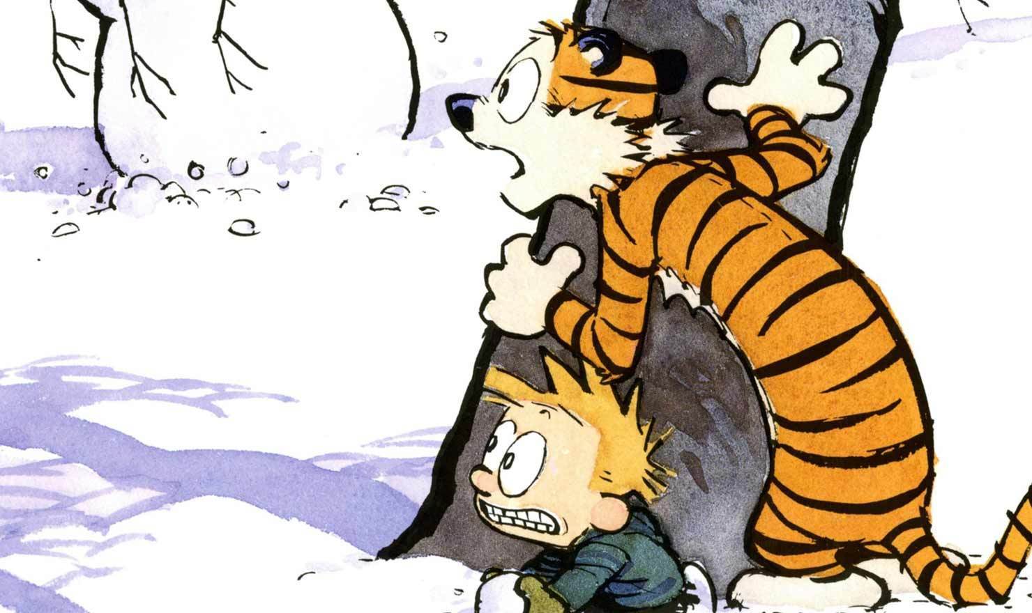Calvin and hobbes funny faces 👉 👌 Calvin and Hobbes, DE's CL