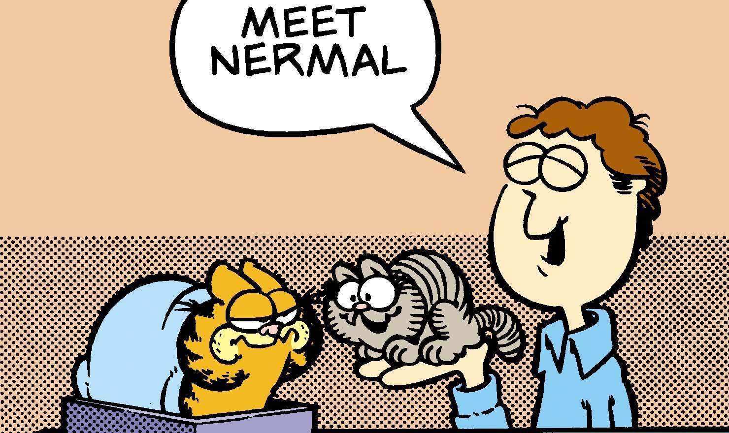 Cuteness Prevails! How Garfield Accepted the New Nermal