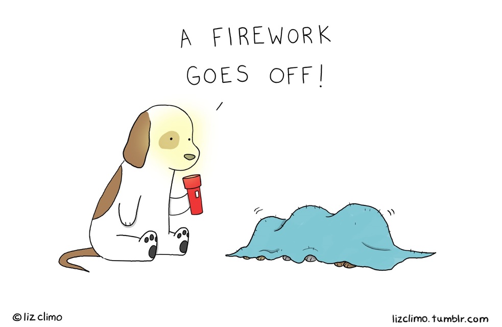 A Friendly Little PSA - Your Dog Hates Fireworks