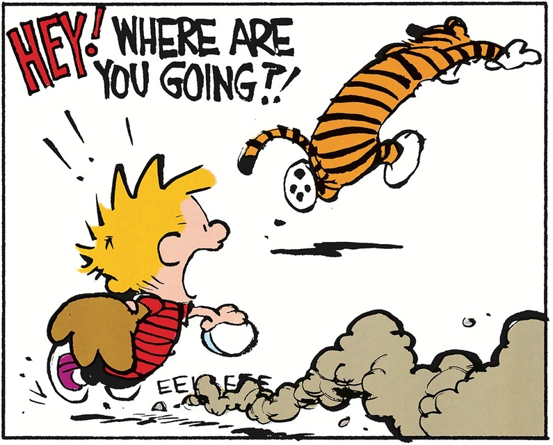 Today on Calvin and Hobbes - Comics by Bill Watterson - GoComics